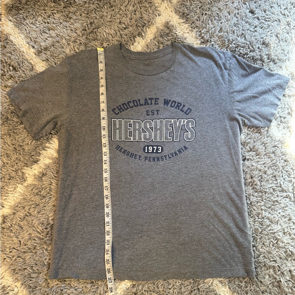 Hershey's Men's Short Sleeve Gray Graphic Tee